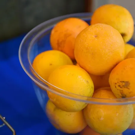 Palazzo Hotel Archangelos (Laconia)