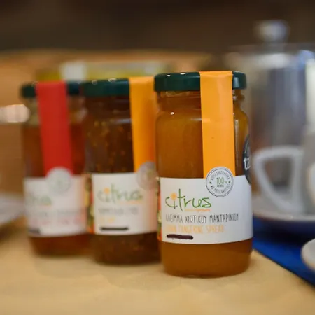 Palazzo Archangelos (Laconia)