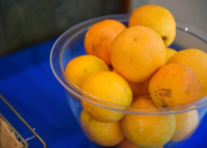 Palazzo Hotel Archangelos (Laconia)